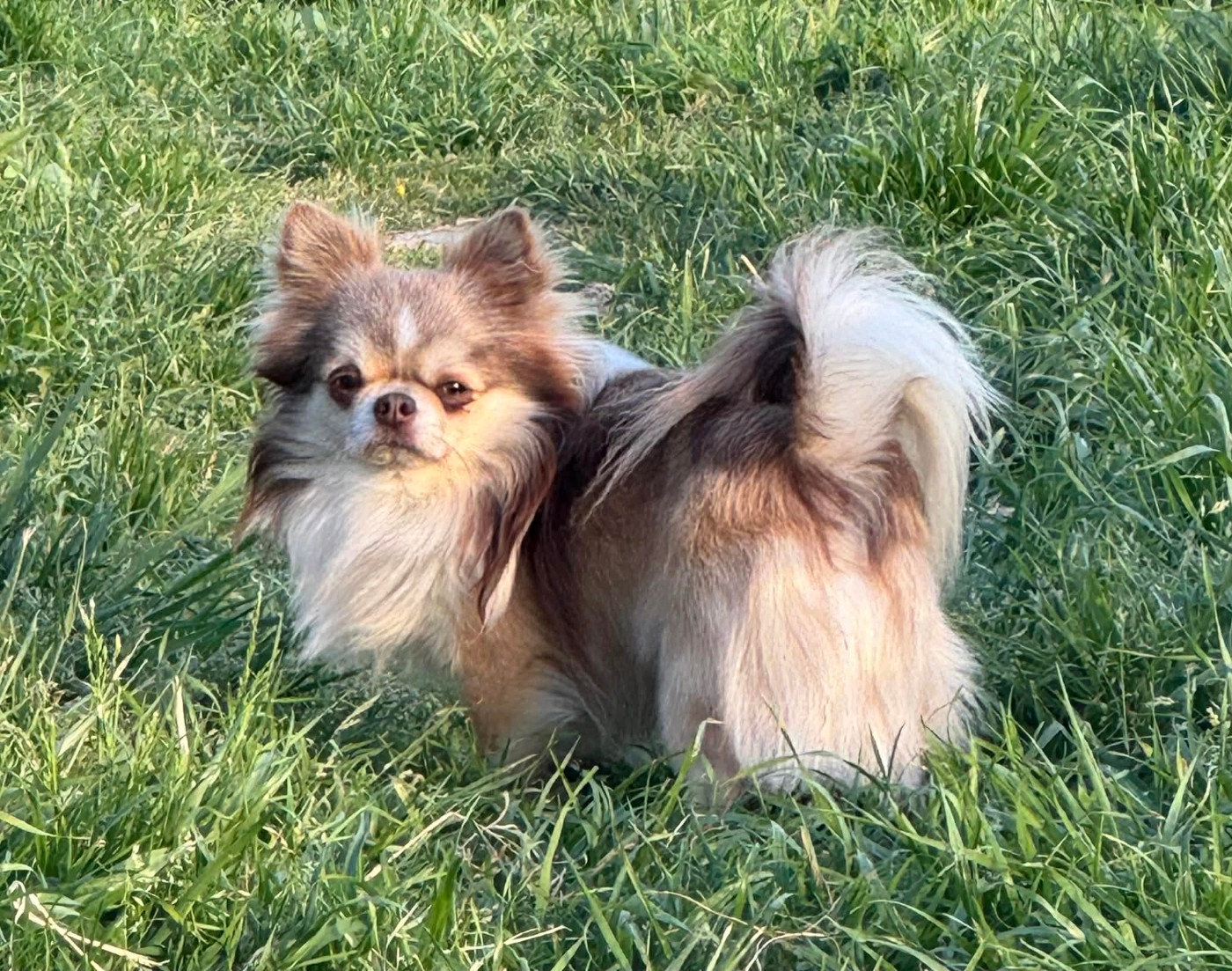 Urko de la celiane